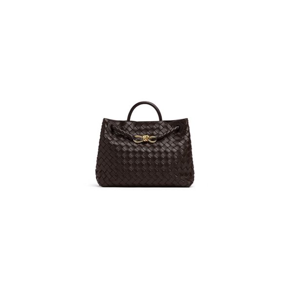Bottega Veneta Medium Andiamo