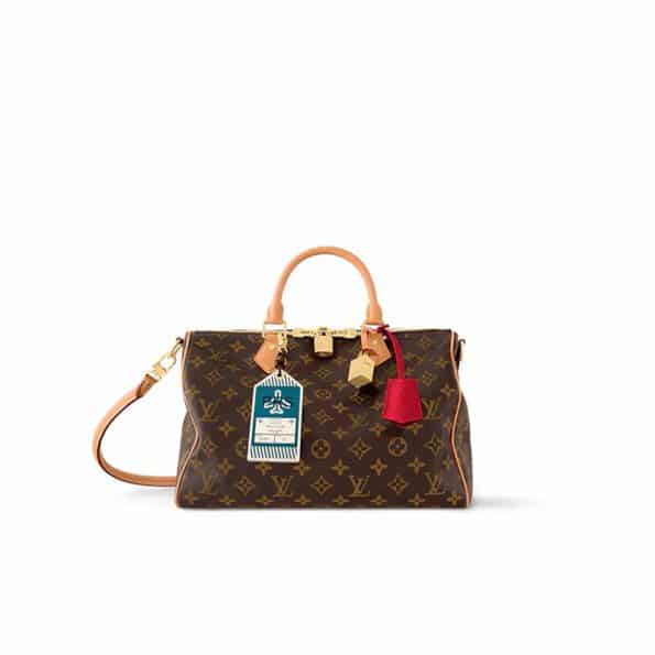 LV Speedy Soft 30 Crafty