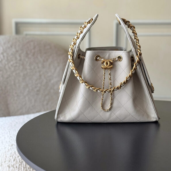 Chanel 25 Small Handbag