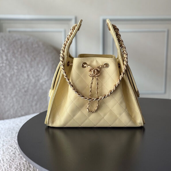 Chanel 25 Small Handbag